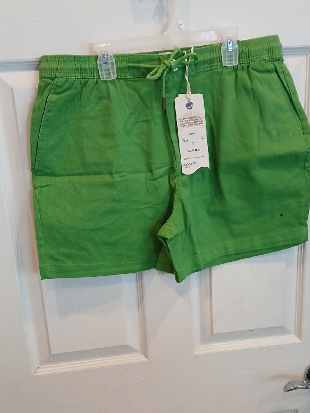 Laguna B Men's Green Flat Front Shorts